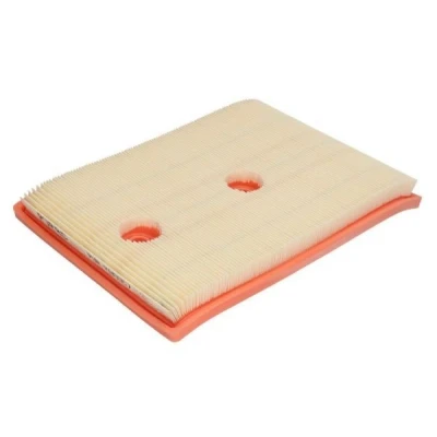 Billede af PURRO PUR PA0057 Luftfilter 31 191 269 Filterindsats VOLKSWAGEN: Polo V Hatchback, Golf 7, Passat B8 Variant, SKODA: Octavia 3 Combi