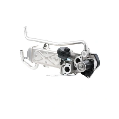 Billede af MAGNETI MARELLI 571822112069 EGR Modul VOLKSWAGEN: Polo V Hatchback, SEAT: Ibiza 4 ST, Toledo 4, SKODA: Fabia 2