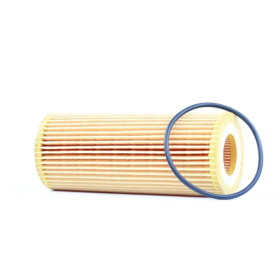 Billede af BOSCH 1 457 429 252 Oliefilter med pakning Filterindsats BMW: 3 Touring, Coupe, X5