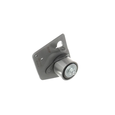 Billede af SKF VKM 16129 Strammehjul, tandrem RENAULT: LAGUNA 2, MEGANE 2 Kombi