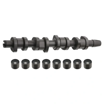 Billede af FEBI BILSTEIN 33195 Knastakselsæt VOLKSWAGEN: Transporter 5, Touran I, Golf SEAT: Leon II Hatchback