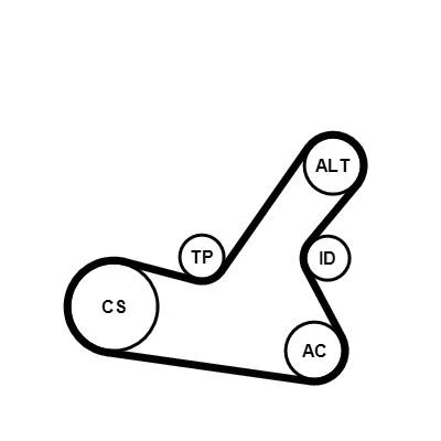Billede af CONTITECH 6PK1564K2 Kileribberem PEUGEOT: 206 Hatchback, CITROËN: Xsara Coupe