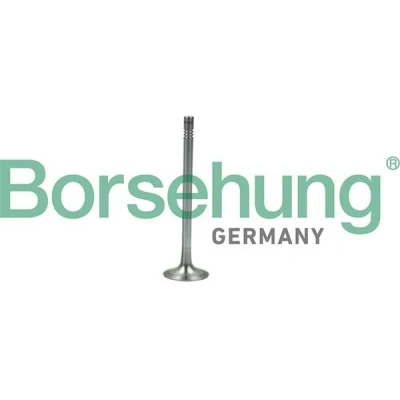 Billede af Borsehung B19007 Udstødningsventil VOLKSWAGEN: Polo V Hatchback, SEAT: Leon III Hatchback