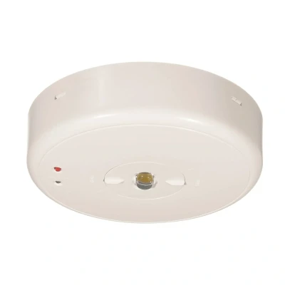 Billede af S LUX Standard LED sikkerhedslampe, loftmontering