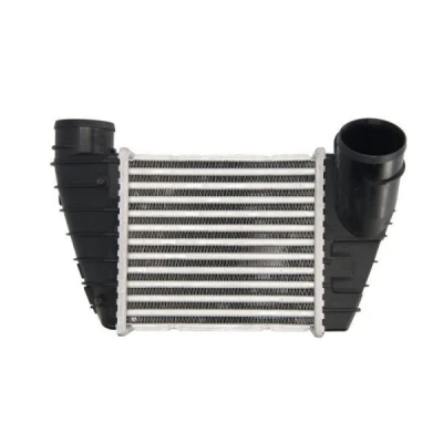 Billede af THERMOTEC DAA017TT Intercooler SEAT: Leon I Hatchback