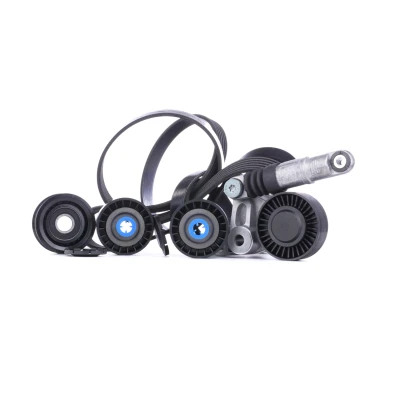 Billede af GATES K066PK2500 Kileribberem ThermalPro AUDI: A4 B8 Sedan, Avant, A6 C6 Avant