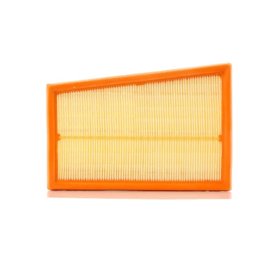 Billede af PURFLUX A1317 Luftfilter 59 163 233 Filterindsats NISSAN: Qashqai / Qashqai+2 I, X Trail