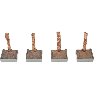 Billede af AS PL BSX157 158 Kulbørste, starter