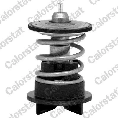 Billede af CALORSTAT by Vernet TH7272.89 Termostat 89 VOLKSWAGEN: Passat B7 Variant, Sedan, PORSCHE: Cayenne
