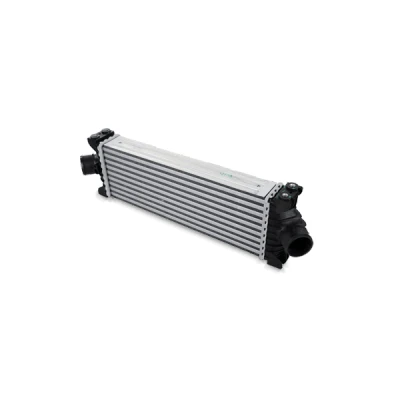 Billede af PRASCO STA4039 Intercooler SEAT: Ibiza 4, 4 ST, SKODA: Fabia 2
