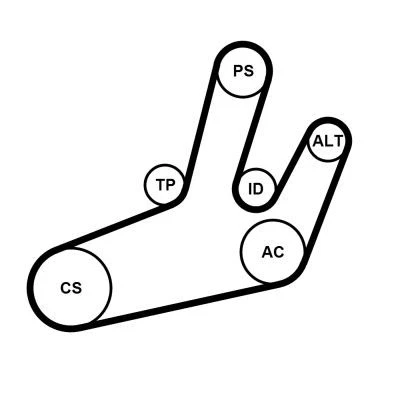 Billede af CONTITECH 6PK1780K1 Kileribberem