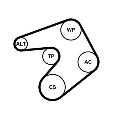 Billede af CONTITECH 6PK1244K1 Kileribberem CITROËN: Jumpy II MPV, C4 Hatchback, I Grand Picasso, PEUGEOT: 508 SW, Sedan, 308 Hatchback
