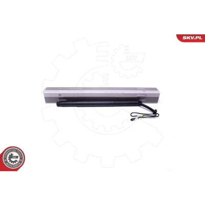 Billede af Elmotor, bagklap ESEN SKV 52SKV923