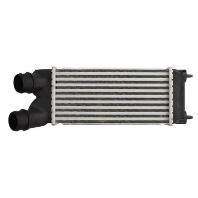 Billede af THERMOTEC DAC015TT Intercooler CITROËN: Berlingo II Van