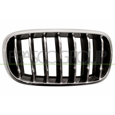 Billede af PRASCO BM8262013 Kølergitter højre chrom/sort BMW: X5