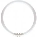 Billede af Philips TL5 cirkelrør 60w/840, 2GX13, ø16x370mm