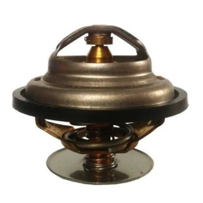 Billede af THERMOTEC D2ZE001TT Termostat 80 67 uden hus