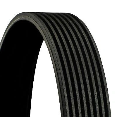 Billede af CONTITECH 8PK1275 Kileribberem 1275 8 MAN: TGL