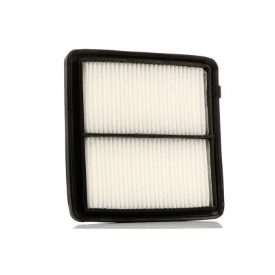 Billede af ASHIKA 20 04 450 Luftfilter 47 180 193 Filterindsats