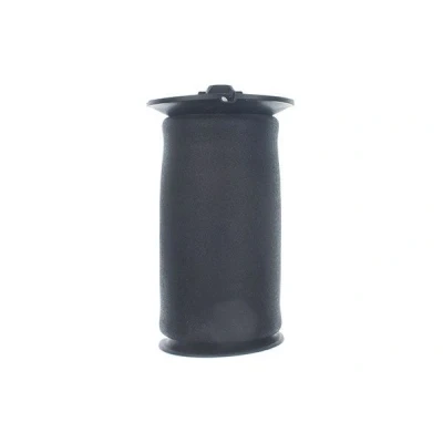 Billede af DENCKERMANN DSA120G Luftfjeder, undervogn bagaksel BMW: 5 Touring