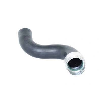 Billede af BUGIAD 88560 Trykslange RENAULT: GRAND SCENIC 3, MEGANE 3 Grandtour