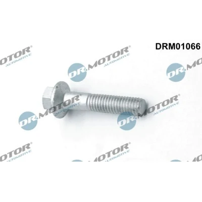 Billede af DR.MOTOR AUTOMOTIVE DRM01066 Skrue, indsprøjtningsdyseholder FORD: Focus 2 Kombi, Galaxy Mk2 MPV, MONDEO 4 Turnier