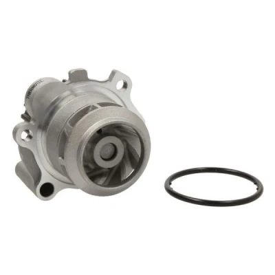 Billede af THERMOTEC D1W043TT Vandpumpe 19 med pakning mekanisk SKODA: Fabia I Hatchback, 1 Combi, Sedan, VOLKSWAGEN: Polo IV Hatchback