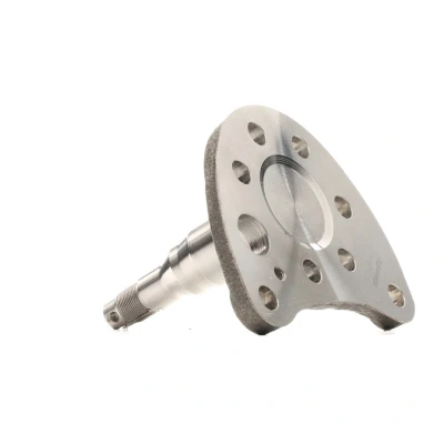 Billede af AUTOMEGA 110035810 Hjulspindel VOLKSWAGEN: Polo III Hatchback, GOLF 3