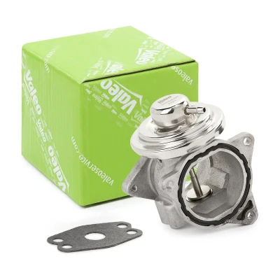 Billede af VALEO 703200 EGR ventil pneumatisk uden køler, med pakninger VOLKSWAGEN: Passat B6 Sedan, Variant, Touran I