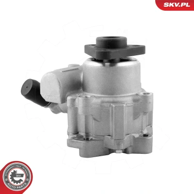 Billede af Hydraulikpumpe, styresystem ESEN SKV 10SKV329