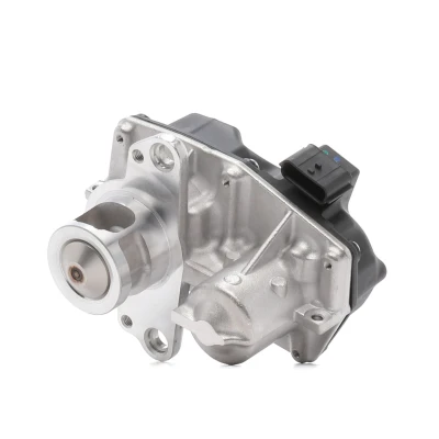 Billede af PIERBURG 7.24809.90.0 EGR Ventil elektrisk Styreventil med pakning RENAULT: GRAND SCENIC 3, MEGANE 3 Grandtour