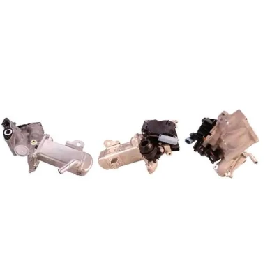 Billede af ELSTOCK 73 0086 EGR Ventil elektrisk med pakninger, køler FORD: MONDEO 4 Turnier, S Max Mk1, Grand C Max, PEUGEOT: 5008 I, 308 I SW, 407 SW