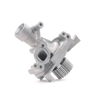 Billede af DOLZ C138 Vandpumpe med hus PEUGEOT: 406 Sedan, 206 Hatchback, 307 CITROËN: C4 I Grand Picasso, Hatchback