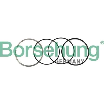 Billede af Stempelringsæt Borsehung B10370