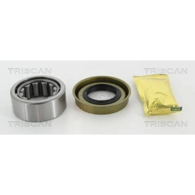 Billede af TRISCAN 8530 16268 Hjullejesæt 76 FORD: Transit Mk5 Bus, Ladvogn/Chassis