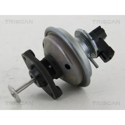 Billede af TRISCAN 8813 11002 EGR Ventil elektrisk pneumatisk med pakninger BMW: 3 Touring, 1 Hatchback, 5 MINI: Clubman, Hatchback