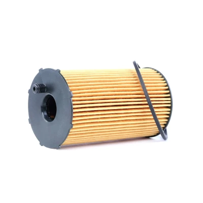 Billede af BOSCH 1 457 429 307 Oliefilter med pakning Filterindsats LAND ROVER: Range Rover Sport, Discovery 3, 4, CITROËN: C6 Sedan, C5 III Stationcar