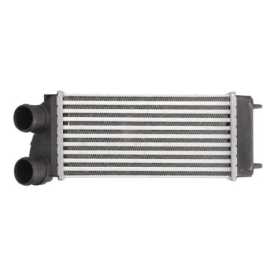 Billede af THERMOTEC DAC004TT Intercooler 300 150 88