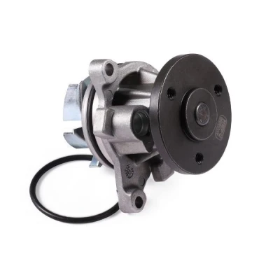 Billede af HEPU P251 Vandpumpe med pakning mekanisk VOLVO: V50, V70 3, S40 II, FORD: S Max Mk2, MONDEO 3 Kombi, MAZDA: 6 Stationcar, 5