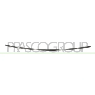 Billede af PRASCO OP4181275 Pynte /beskyttelsesliste, kofanger bag