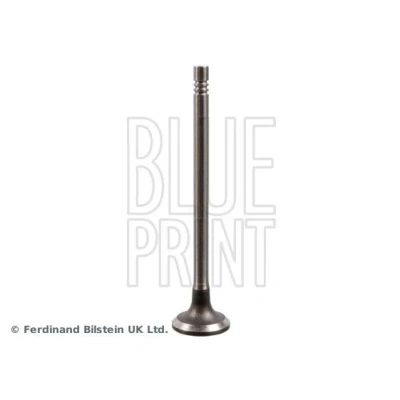 Billede af BLUE PRINT ADBP610034 Indsugningsventil 24 RENAULT: MEGANE 3 Grandtour