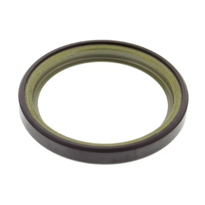 Billede af MAPCO 76102 ABS Ring med integreret magnetisk sensorring Bagaksel på begge sider RENAULT: CLIO 2, THALIA 2