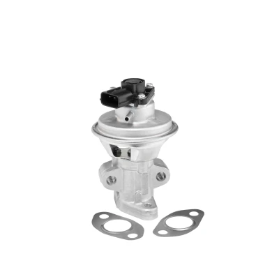 Billede af WAHLER 712063D EGR Ventil elektrisk pneumatisk