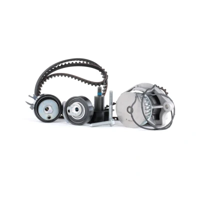 Billede af INA 530 0538 30 vandpumpe + Tandremssæt med VOLKSWAGEN: Polo V Hatchback, Golf 5, IV SKODA: Octavia 2 Combi, Fabia