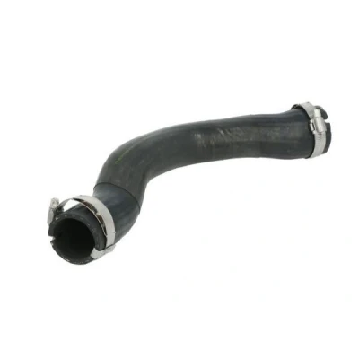 Billede af THERMOTEC DCA020TT Trykslange AUDI: A6 C6 Allroad, Sedan