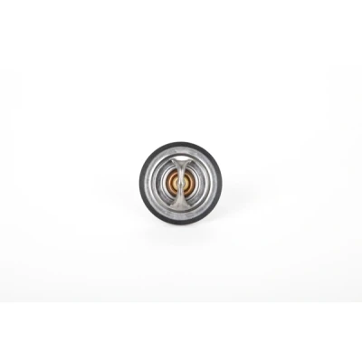 Billede af Continental 28.0200 4137.2 Termostat 82 60 med pakning KIA: SORENTO 1