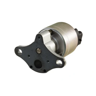 Billede af HELLA 6NU 010 171 601 EGR Ventil elektronisk med pakning