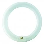 Billede af Philips cirkelrør TL E 32w/840, G10q, ø26x300mm