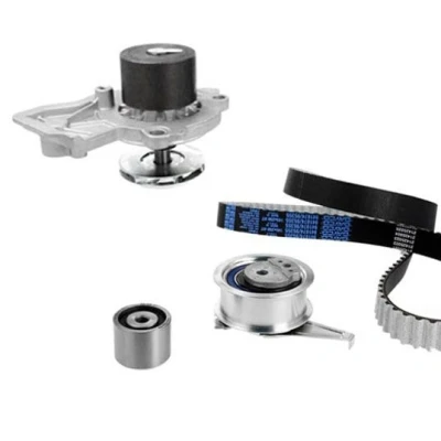 Billede af METELLI 30 1361 1 Vandpumpe + Tandremssæt VOLKSWAGEN: Polo V Hatchback, SEAT: Ibiza 4, 4 ST, Toledo SKODA: Rapid Spaceback