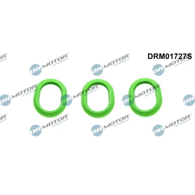 Billede af DR.MOTOR AUTOMOTIVE DRM01727S Pakningssæt, indsugningsmanifold oppe